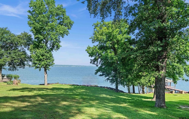17570 Regal Row, Flint, TX 75762 - photo 33