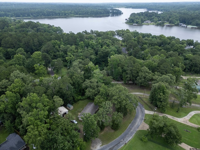 16850 Rainbow Ridge Cir, Tyler, TX 75707 - aerial view of property's location featuring a large body of water and a forest