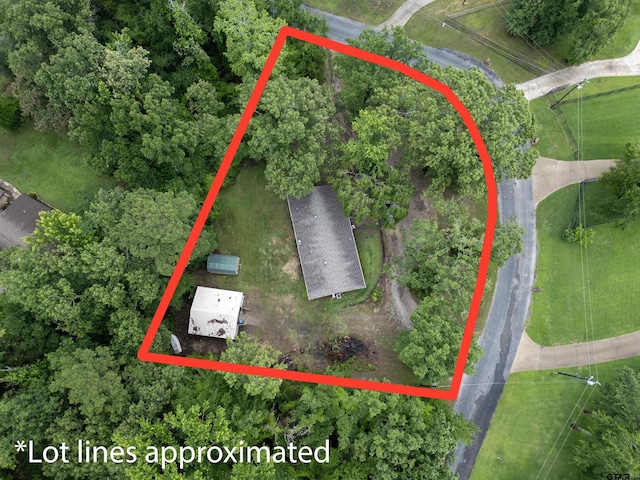 16850 Rainbow Ridge Cir, Tyler, TX 75707 - aerial view of property and surrounding area with property boundaries highlighted