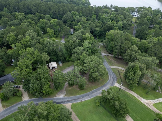 16850 Rainbow Ridge Cir, Tyler, TX 75707 - aerial view of property's location