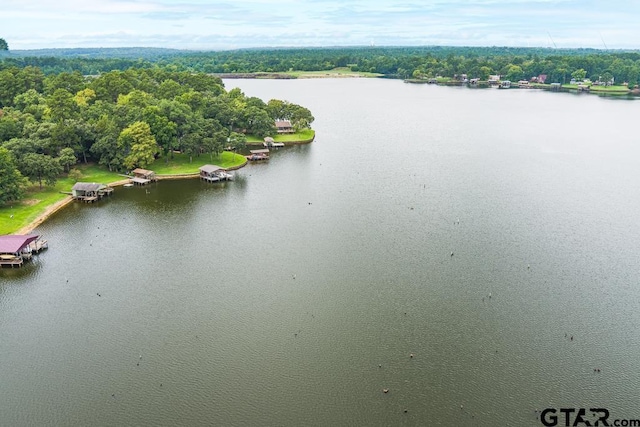 327 Dailey Rd, Crockett, TX 75835 - bird's eye view of a nearby body of water
