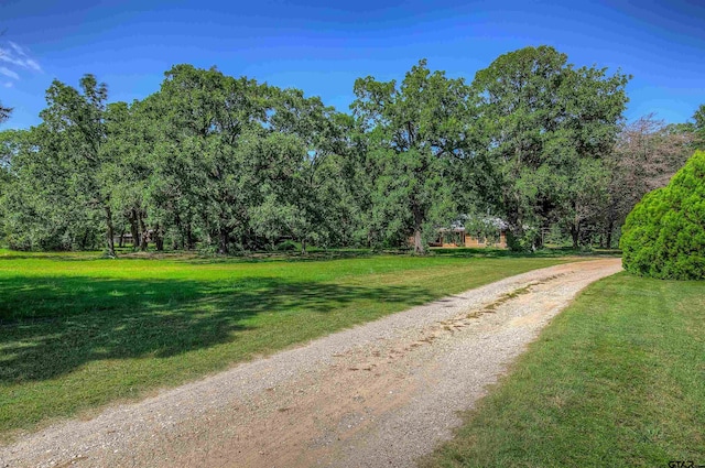 4626 Firemans Ln, Lone Oak, TX 75453 - photo 46