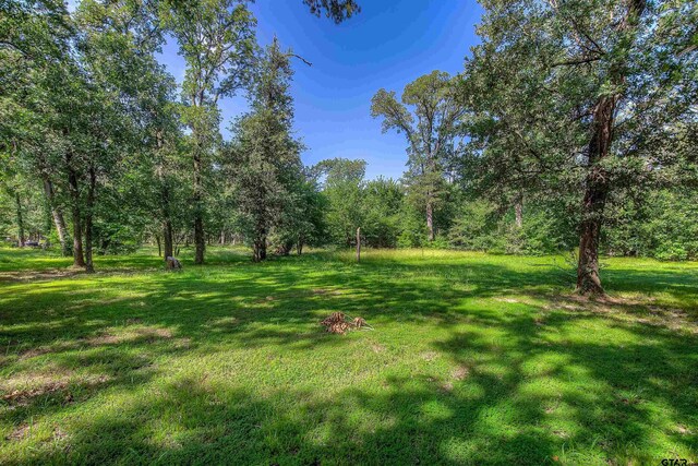4626 Firemans Ln, Lone Oak, TX 75453 - photo 28
