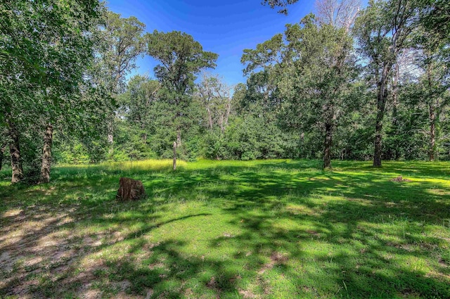 4626 Firemans Ln, Lone Oak, TX 75453 - photo 30