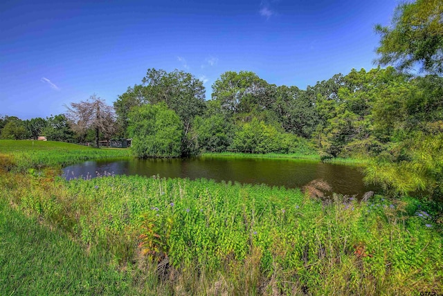 4626 Firemans Ln, Lone Oak, TX 75453 - photo 41