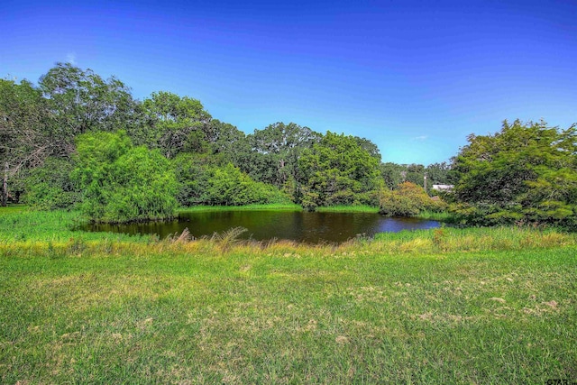 4626 Firemans Ln, Lone Oak, TX 75453 - photo 40