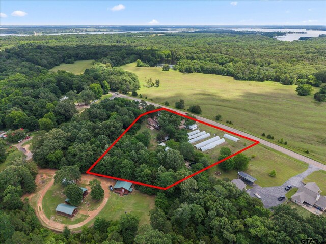 7928 Fm 127, Mount Pleasant, TX 75455 - view of property location featuring a forest and property parcel outlined