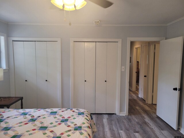 bedroom with ceiling fan, dark hardwood / wood-style floors, two closets, and ornamental molding