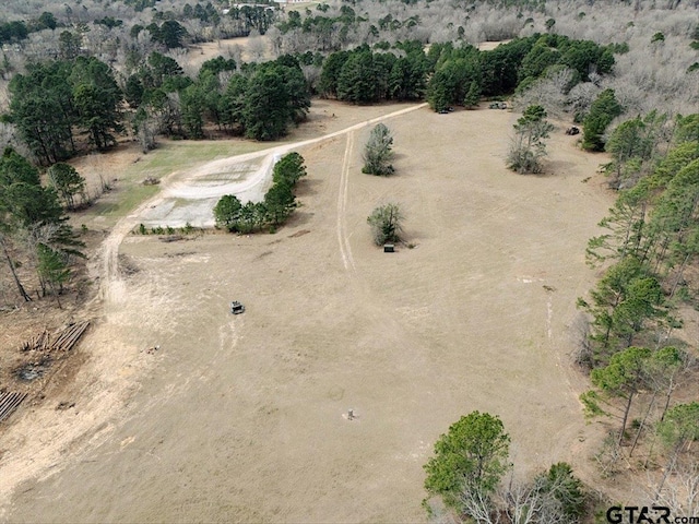 1425 State Highway 300, Gilmer, TX 75645 - photo 15
