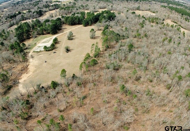 1425 State Highway 300, Gilmer, TX 75645 - photo 6