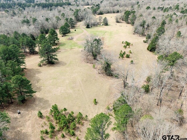 1425 State Highway 300, Gilmer, TX 75645 - photo 14