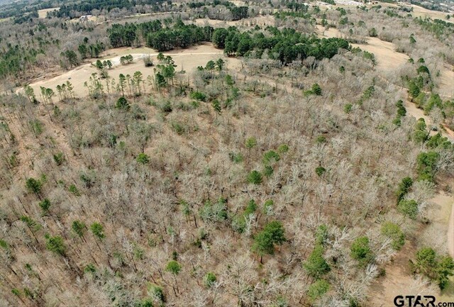 1425 State Highway 300, Gilmer, TX 75645 - photo 5