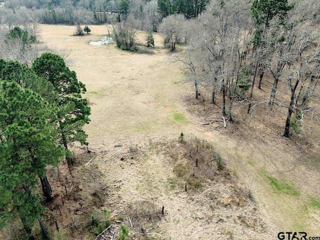 1425 State Highway 300, Gilmer, TX 75645 - photo 8