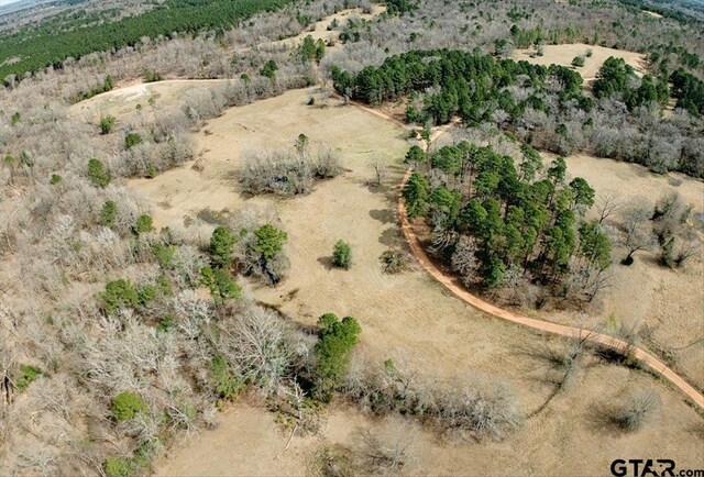 1425 State Highway 300, Gilmer, TX 75645 - photo 2