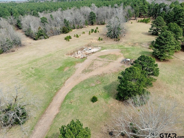 1425 State Highway 300, Gilmer, TX 75645 - photo 12