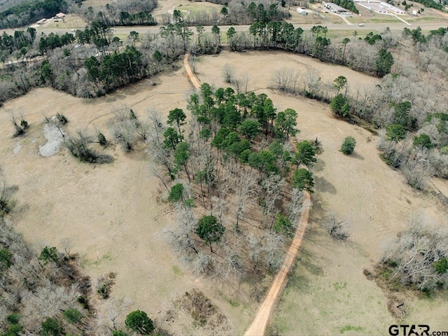 1425 State Highway 300, Gilmer, TX 75645 - photo 1