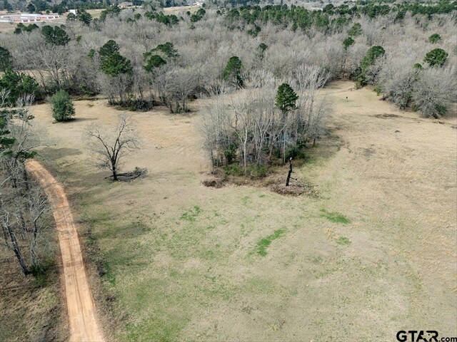 1425 State Highway 300, Gilmer, TX 75645 - photo 10