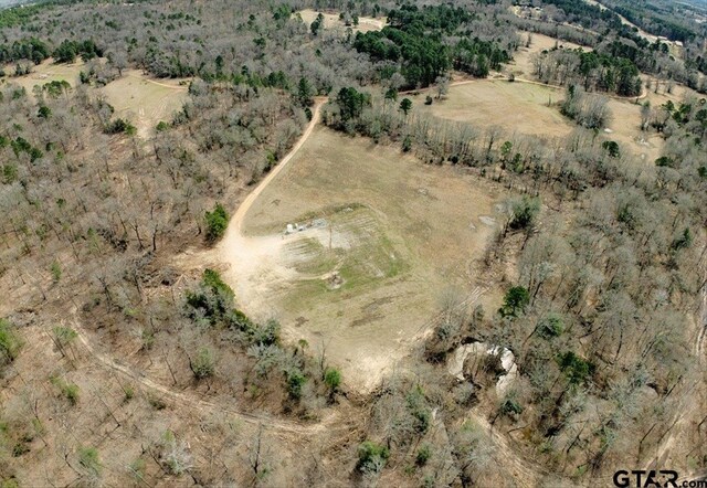 1425 State Highway 300, Gilmer, TX 75645 - photo 3