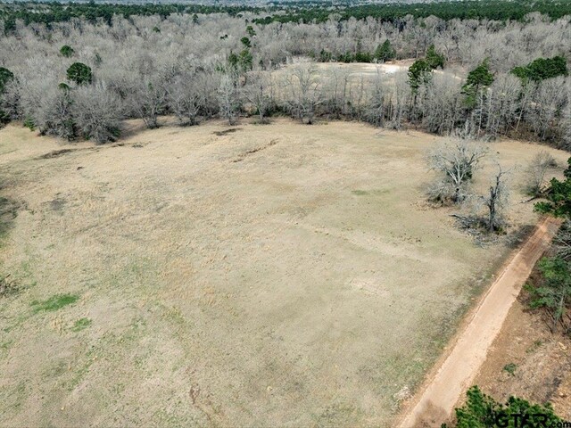 1425 State Highway 300, Gilmer, TX 75645 - photo 11