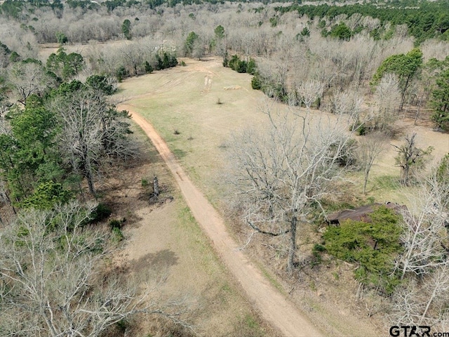 1425 State Highway 300, Gilmer, TX 75645 - photo 13