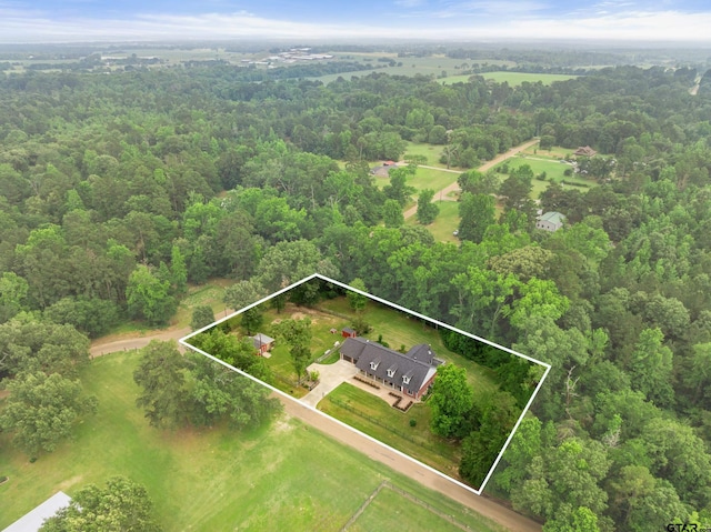 10443 County Road 3407, Brownsboro, TX 75756 - photo 1