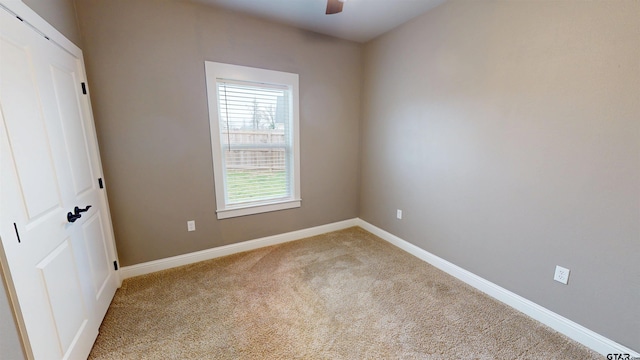 unfurnished room with baseboards, a ceiling fan, and carpet floors
