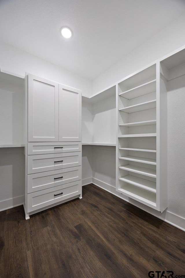 walk in closet featuring dark wood-type flooring