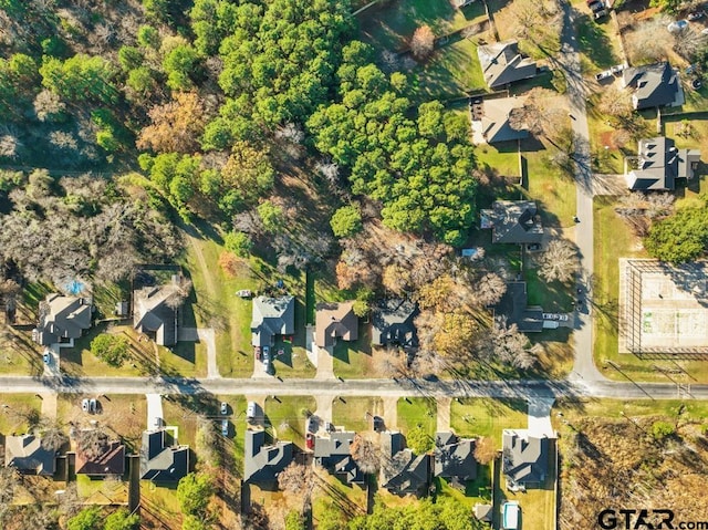 drone / aerial view