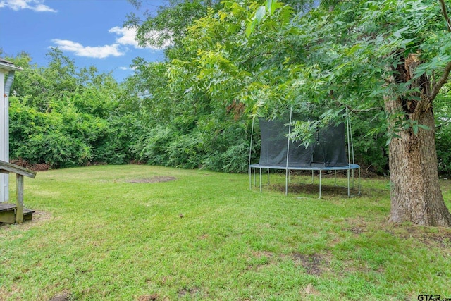 411 N 3rd St, Wills Point, TX 75169 - photo 31