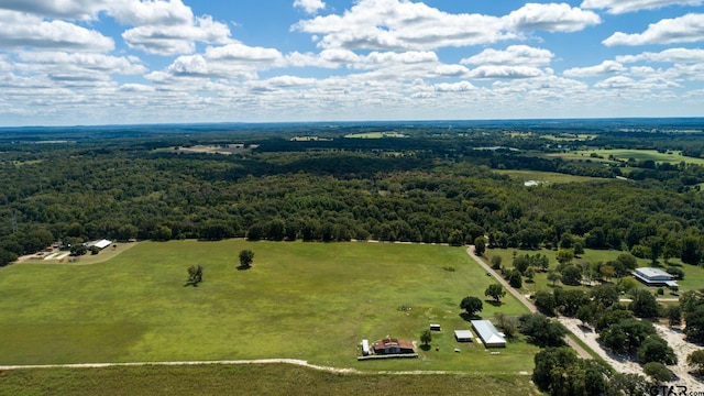 Listing photo 2 for TBD133ACMOL Vz County Road 4701, Ben Wheeler TX 75754