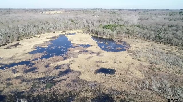 TBD133ACMOL Vz County Road 4701, Ben Wheeler, TX 75754