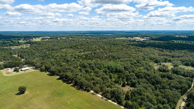 Listing photo 3 for TBD133ACMOL Vz County Road 4701, Ben Wheeler TX 75754