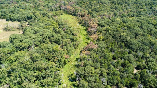 TBD133ACMOL Vz County Road 4701, Ben Wheeler, TX 75754