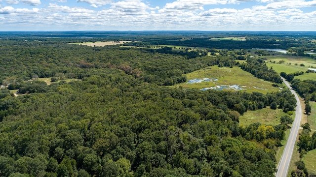 TBD133ACMOL Vz County Road 4701, Ben Wheeler, TX 75754