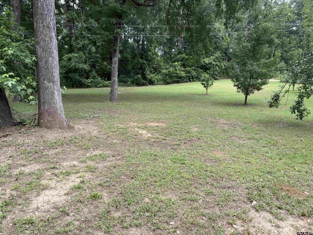 125 Perkins Rd, Gilmer, TX 75644 - photo 25
