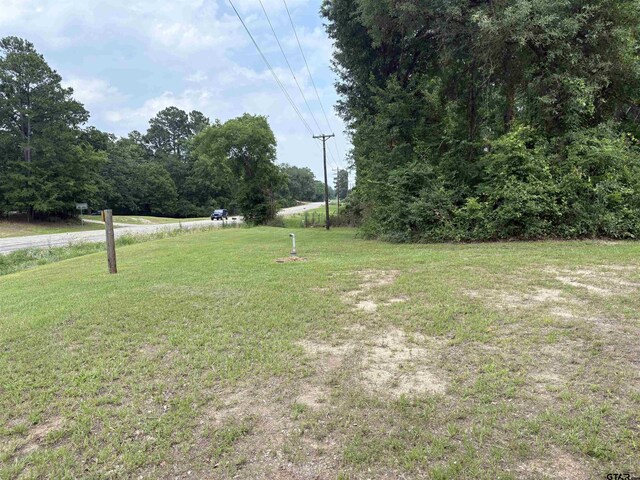 125 Perkins Rd, Gilmer, TX 75644 - photo 19