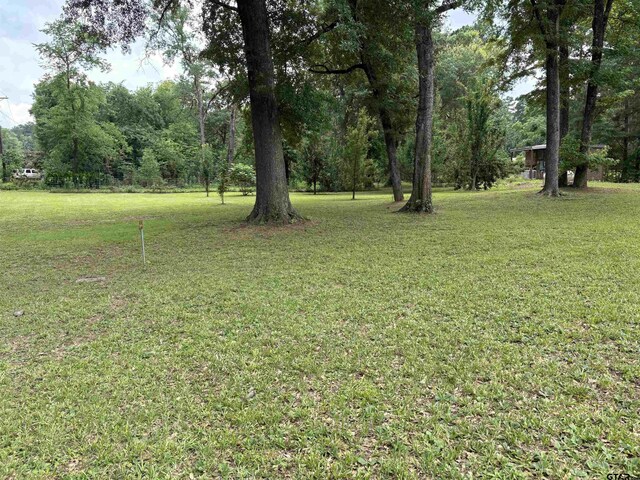 125 Perkins Rd, Gilmer, TX 75644 - photo 23