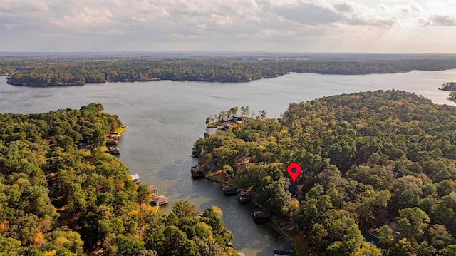 207 S King Laurence Ct, Scroggins, TX 75480 - aerial view of property's location with a large body of water and a forest
