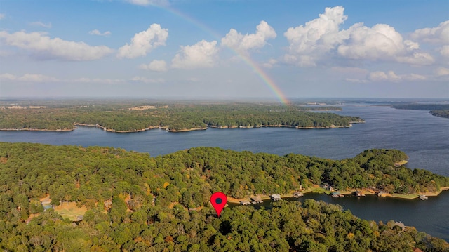 207 S King Laurence Ct, Scroggins, TX 75480 - aerial view of property's location with a forest and a nearby body of water