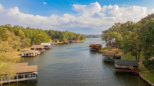 207 S King Laurence Ct, Scroggins, TX 75480 - dock featuring a water view and a view of trees