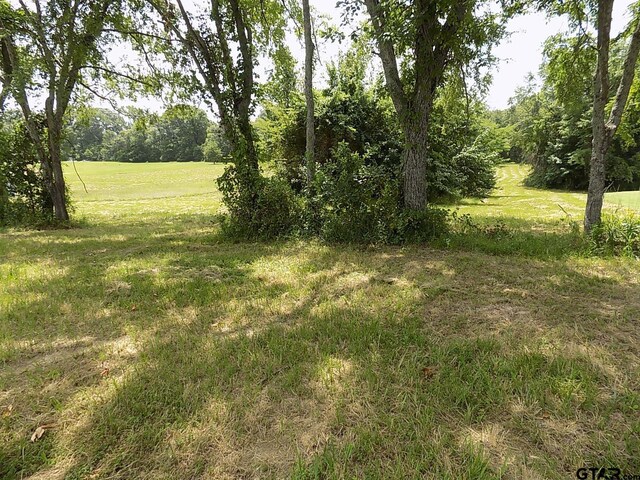 Lot6 Indian Gap, Quitman, TX 75783 - photo 4
