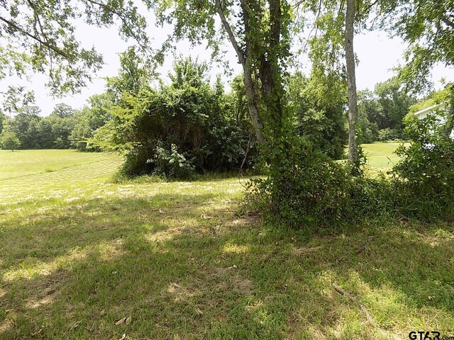 Lot6 Indian Gap, Quitman, TX 75783 - photo 6