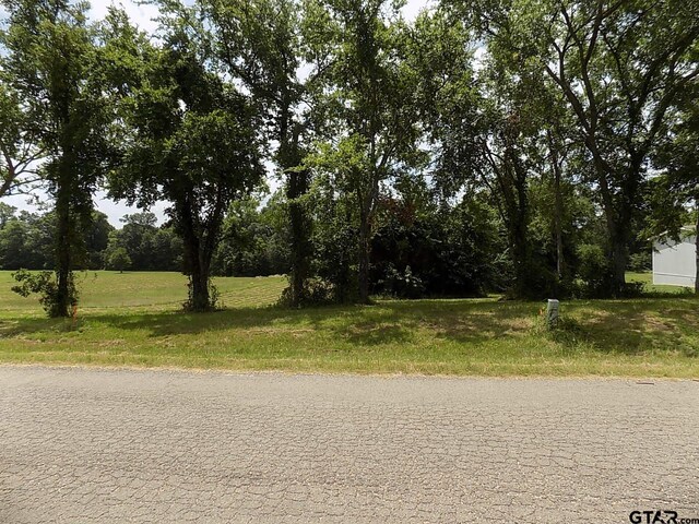 Lot6 Indian Gap, Quitman, TX 75783 - photo 3