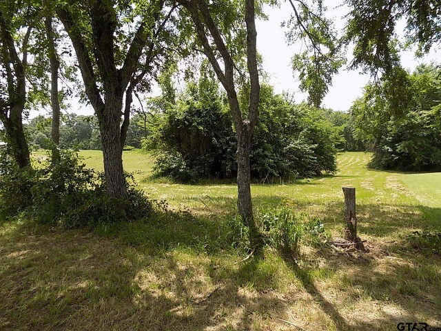 Lot6 Indian Gap, Quitman, TX 75783 - photo 5