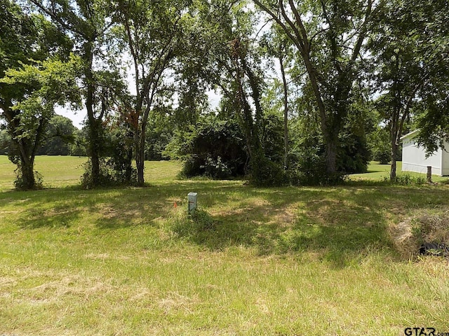 Lot6 Indian Gap, Quitman, TX 75783 - photo 2