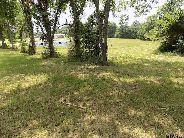 Lot6 Indian Gap, Quitman, TX 75783 - photo 7