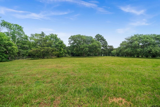 1901 Byrd Rd, Jacksonville, TX 75766 - photo 34