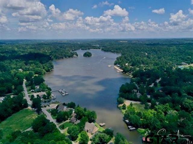 89 S Ryder Cup, Hideaway, TX 75771 - aerial overview of property's location with a large body of water and a forest