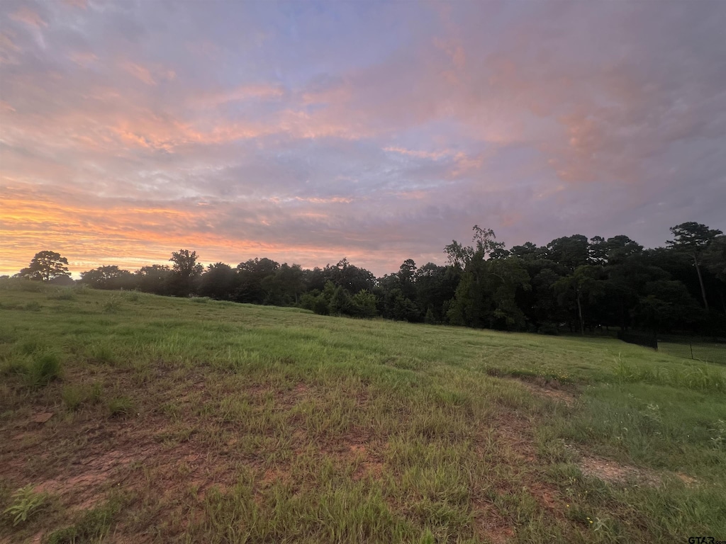 304 Bridle Ridge Ct, Tyler, TX 75703 - photo 1