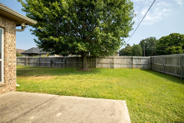 view of yard featuring a patio area